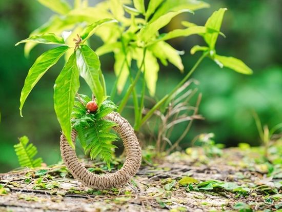 ミニガンシナーづくり体験 沖縄ならではのお土産を手作り 昔ながらの民具をアレンジしたミニガンシナー＜2時間／沖縄本島北部＞