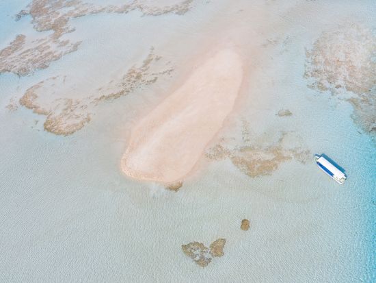 百合ヶ浜 上陸＋ウミガメ＆赤崎サンゴの森＆クマノミシュノーケリングツアー　3歳～参加可能　＜約3.5時間／大金久海岸発＞ by タンディーマリン