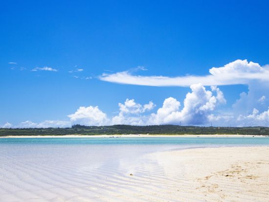 百合ヶ浜 上陸＋ウミガメ＆赤崎サンゴの森シュノーケリング半日ツアー　3歳～参加可能 ＜約3時間／大金久海岸発＞ by タンディーマリン