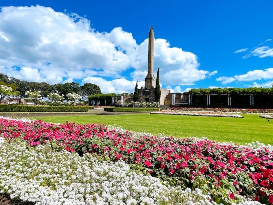 オークランド半日観光 オークランドの見どころを効率よく巡る半日ツアー！＜日本語ガイド／午前・午後／オークランド発＞