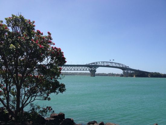 オークランド半日観光 オークランドの見どころを効率よく巡る半日ツアー！＜日本語ガイド／午前・午後／オークランド発＞