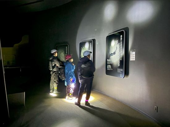 スクリーンショット 2024-07-12 163102