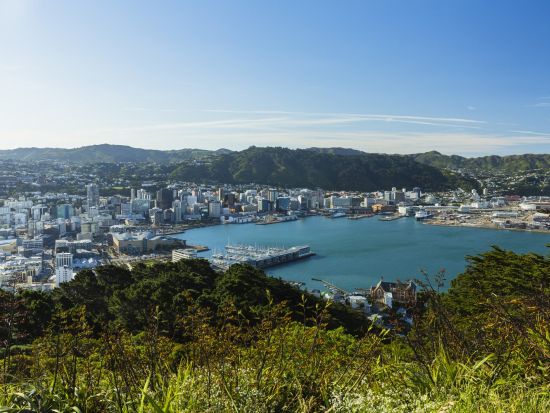 ウェリントン市内観光ツアー　WETAスタジオ見学＋ウェリントン・ケーブルカー乗車＋マウント・ビクトリア＜半日または1日／英語ガイド／ウェリントン発着＞