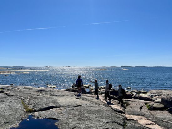 フィンランド式夏の楽しみ方！ピヒラヤサーリ島で自然散策＆ピクニックランチ＜5月～8月／午前／英語ガイド／ヘルシンキ発＞