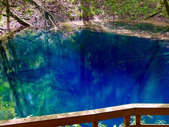 【津軽海峡フェリー直結】早朝から青森満喫！世界遺産白神山地 十二湖プラベートツアー　ベテランガイド1日貸切！＜青森フェリーターミナル発着＞