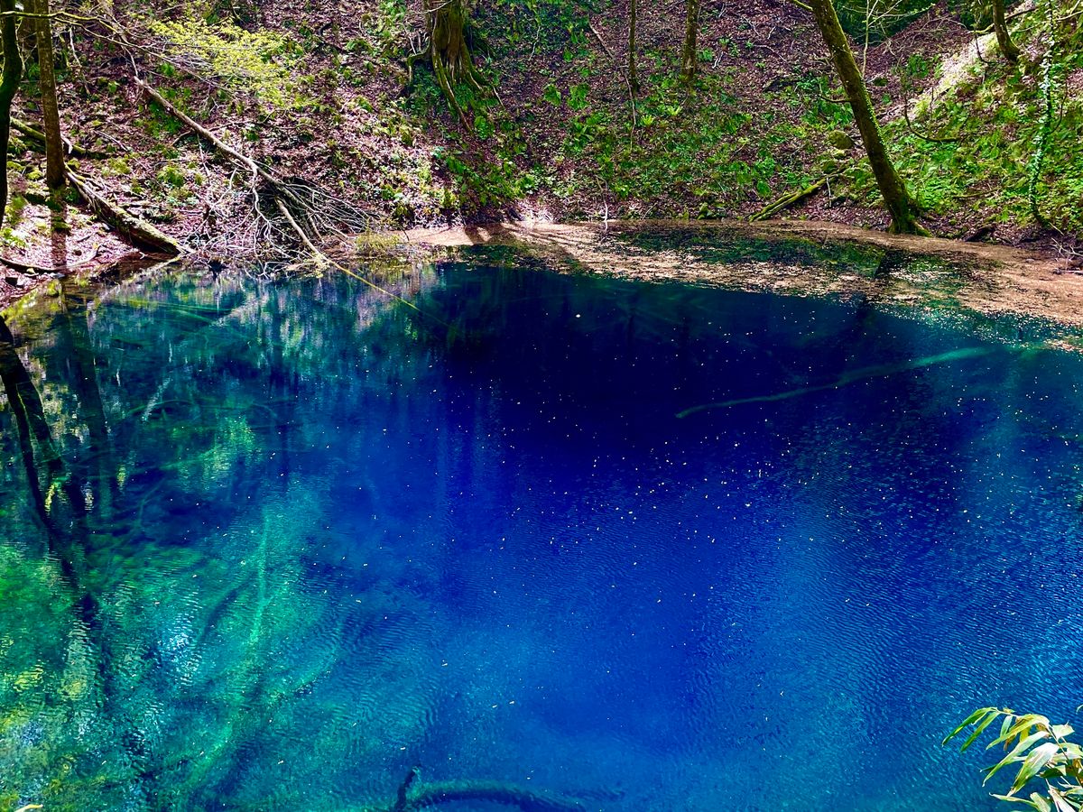 十二湖ネイチャーツアー 世界自然遺産白神山地に位置する神秘的な湖を