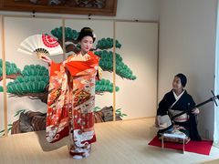 image_67209729
