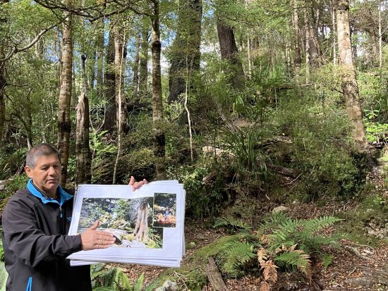 『ロード・オブ・ザ・リング』ツアー　WETAスタジオ見学＋ロケ地巡り＜半日または1日／英語ガイド／ウェリントン発着＞