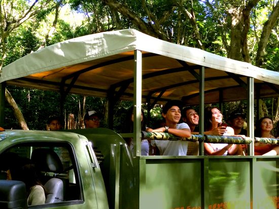 クアロア・ランチ　密林地帯を駆け抜けるジャングル探検ツアー＜1.5時間／送迎付きプランあり＞