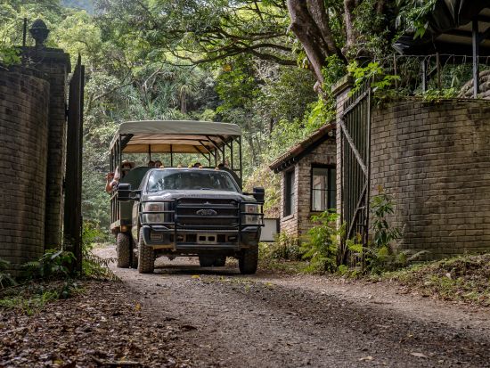 クアロア・ランチ　密林地帯を駆け抜けるジャングル探検ツアー＜1.5時間／送迎付きプランあり＞