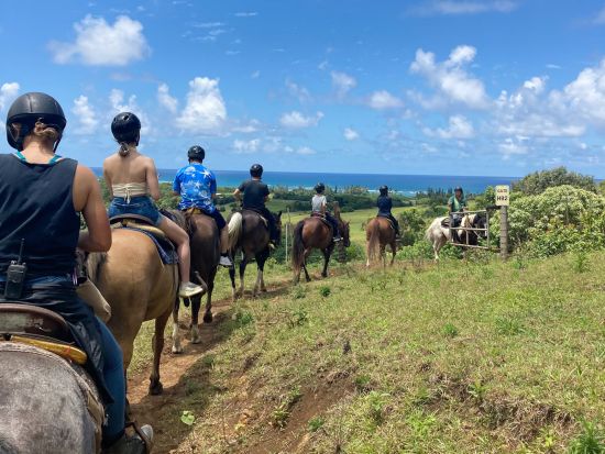 クアロア・ランチ　乗馬体験(2時間)　映画ロケ地にもなった雄大な大自然を馬に乗って満喫！＜送迎付きプランあり＞