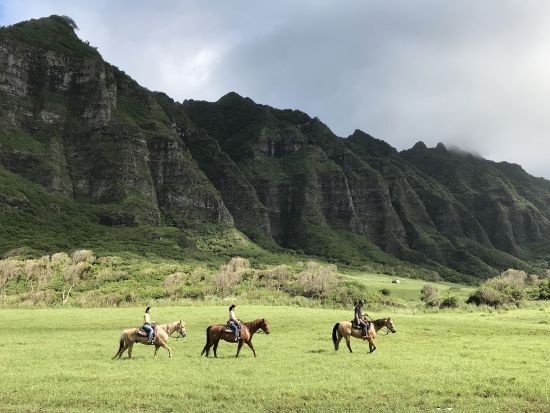 クアロア・ランチ　乗馬体験(2時間)　映画ロケ地にもなった雄大な大自然を馬に乗って満喫！＜送迎付きプランあり＞