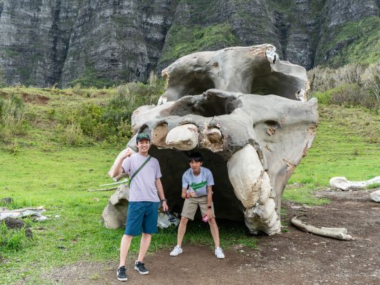 クアロア・ランチ　映画ロケ地巡り＋カネオヘ湾クルーズパッケージツアー＜ランチビュッフェ付き／送迎付きプランあり＞