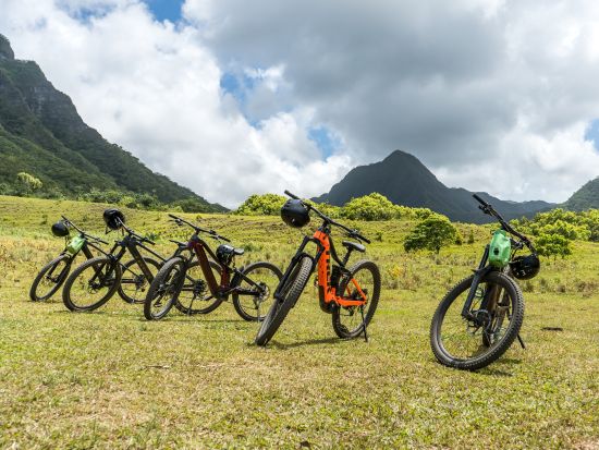 クアロア・ランチ　大自然を楽しむ電動アシスト付きマウンテンバイクツアー　選べる初心者または上級者レベル＜2～3時間／送迎付きプランあり＞