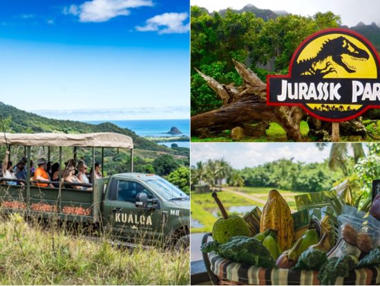 クアロア・ランチ　映画のロケ地巡り、農作物を学ぶ農園ツアー、ジャングル探検ツアーが楽しめる1日満喫パッケージ　ビュッフェランチ付き！＜1日／送迎付きプランあり＞