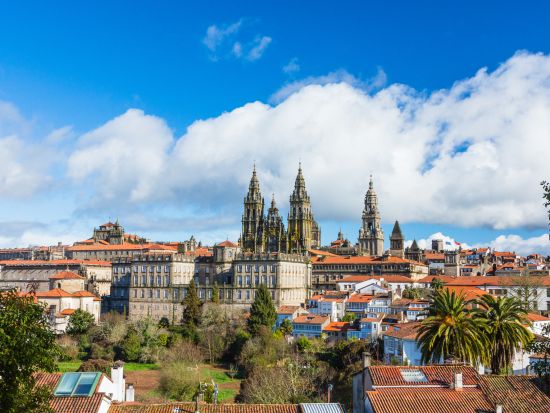 サンティアゴ・デ・コンポステーラ半日観光　巡礼者のゴール大聖堂へ入場＜約3時間／英語ガイド＞