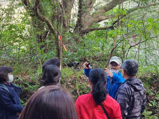 【午前／オクマ発（宿泊者限定）】EVバス「やんばる黄金（くがに）号」で巡るエコツアー！やんばるの森をネイチャーガイド付きでご案内＜約2時間30分／4歳～／北部＞