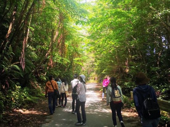 【ゆいゆい国頭発】EVバス「やんばる黄金（くがに）号」で巡るエコツアー！やんばるの森をガイド付きでご案内 ＜ランチ付プランあり／4歳～OK／沖縄北部＞