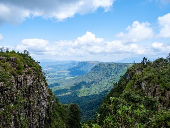 AdobeStock_499100774