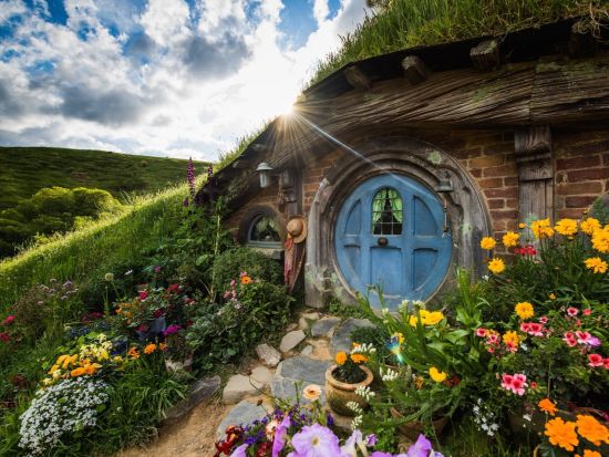 映画撮影地に行ける！「ロード・オブ・ザ・リング」の舞台 ホビット村の1日観光ツアー　ワイトモ付きよくばりプランあり＜日本語ガイド／送迎付き＞