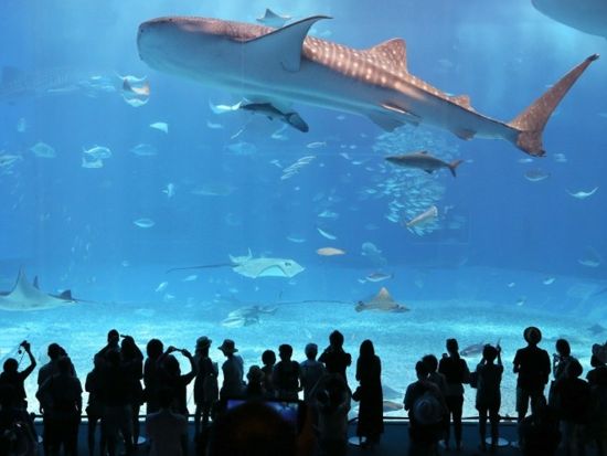 沖縄FunPASS 選べる3プラン チケットでお得に観光・グルメ・お買い物♪沖縄美ら海水族館も楽しめます！＜お得なクーポン付＞