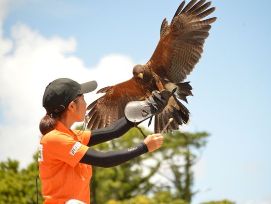 沖縄FunPASS 超得 選べる3プラン チケットでお得に観光・グルメ・お買い物 DMMかりゆし水族館も楽しめます！＜お得なクーポン付＞