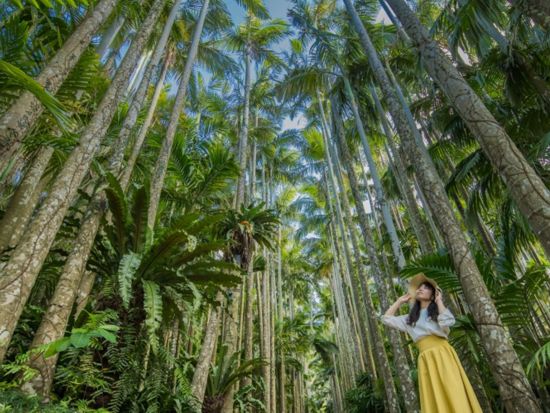 沖縄FunPASS 超得 選べる3プラン チケットでお得に観光・グルメ・お買い物 DMMかりゆし水族館も楽しめます！＜お得なクーポン付＞