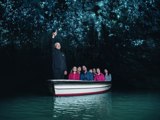 映画撮影地に行ける！「ロード・オブ・ザ・リング」の舞台 ホビット村の1日観光ツアー　ワイトモ付きよくばりプランあり＜日本語ガイド／送迎付き＞