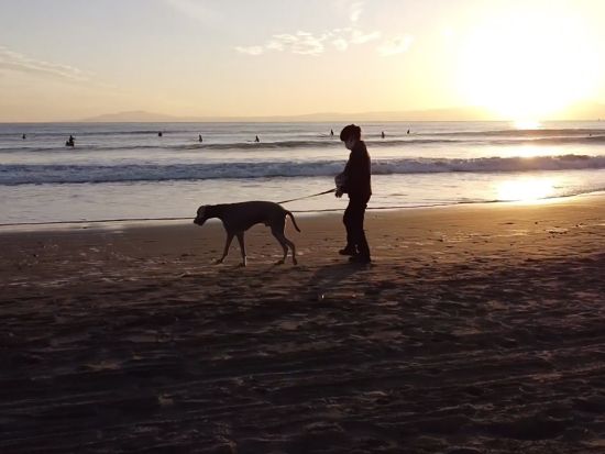 湘南ドローン空撮　サーフィンやウェディングなど大切な思い出を空から映そう！＜30～90分／鵠沼・鎌倉海岸周辺＞