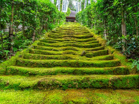 Kamakura_Sugimotodera_pixta_55008324_M (1)