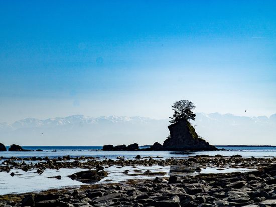 29143dd02914761ab75aa36ff7fa9c9e-scaled