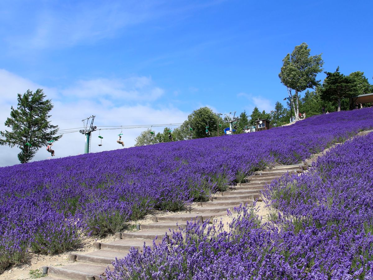 20240723071826_319773425_15793