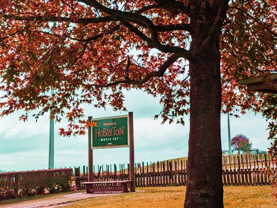 ワイトモ鍾乳洞＆ホビット村1日ツアー　絶景や映画の世界が体験できる2大有名観光スポットを満喫！ランチ付きプランあり＜日本語ガイド／オークランド発＞