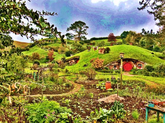 ワイトモ鍾乳洞＆ホビット村1日ツアー　絶景や映画の世界が体験できる2大有名観光スポットを満喫！ランチ付きプランあり＜日本語ガイド／オークランド発＞