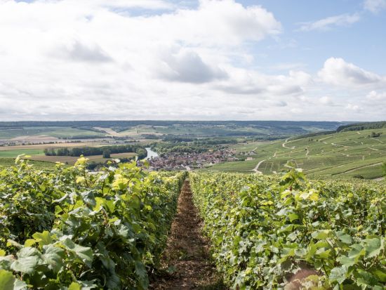 シャンパーニュ地方　メゾン・マム（G.H.Mumm）＋家族経営セラー見学ツアー　＜試飲付／昼食付／ランス発／英語ガイド＞