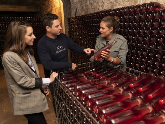 シャンパーニュ地方　メゾン・マム（G.H.Mumm）＋家族経営セラー見学ツアー　＜試飲付／昼食付／ランス発／英語ガイド＞