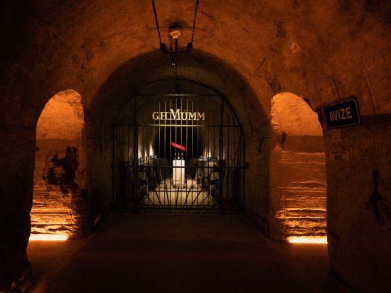 シャンパーニュ地方　メゾン・マム（G.H.Mumm）＋家族経営セラー見学ツアー　＜試飲付／昼食付／ランス発／英語ガイド＞