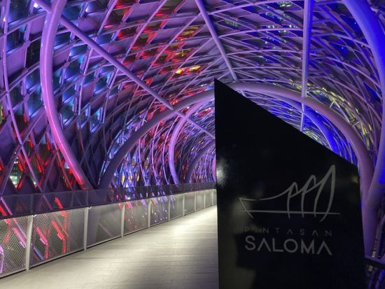 絶景ナイトツアー ブルーモスク＆国立モスク＆サロマブリッジ 夜景ベストスポット厳選！＜日本語ガイド／クアラルンプール発＞