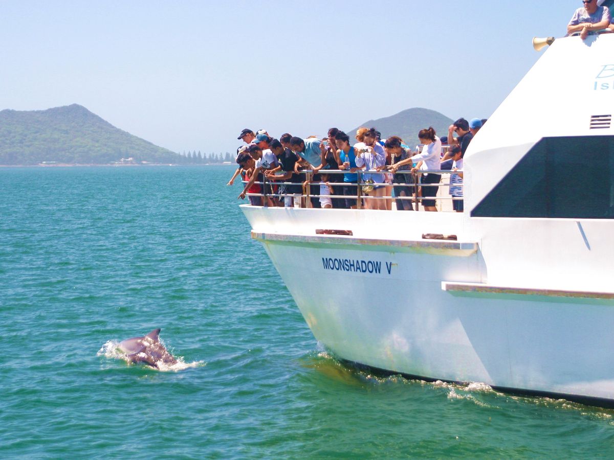 ゴールデンドルフィン(ソイ・ドルフィン版)　アドベンチャーカルテル　 1/12 ゴールデンドルフィン(ソイ・ドルフィン版) アドベンチャーカルテル 1