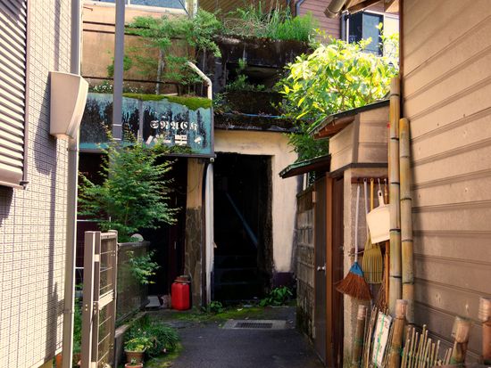 IMGP3506のコピー