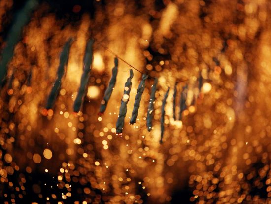 【10月15日限定】咸安(ハマン)落火ノリ＆釜山観光ツアー　松島海上ケーブルカー＋甘川文化村＋末伊山伽倻古墳群＜昼・夕食付／日本語ガイド／釜山市内ホテルお送り＞