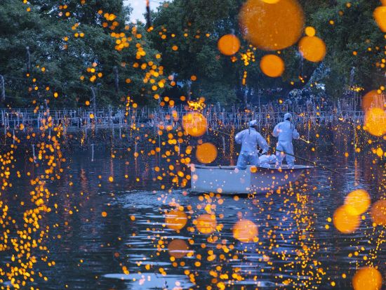 【10月15日限定】咸安(ハマン)落火ノリ＆釜山観光ツアー　松島海上ケーブルカー＋甘川文化村＋末伊山伽倻古墳群＜昼・夕食付／日本語ガイド／釜山市内ホテルお送り＞