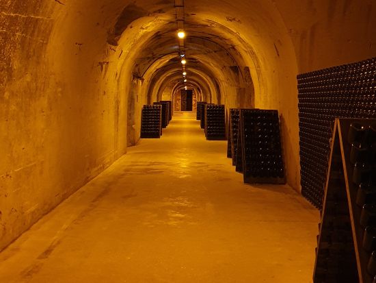 シャンパーニュ地方　家族経営のワイナリー2軒見学＆試飲＜午前／ランス発／英語ガイド＞