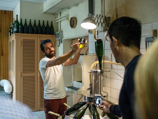 シャンパーニュ地方　シャンパンの歴史とテロワールを学ぶ！家族経営のワイナリー2軒見学＆試飲＋オーヴィレール村＜午後／ランス発／英語ガイド＞