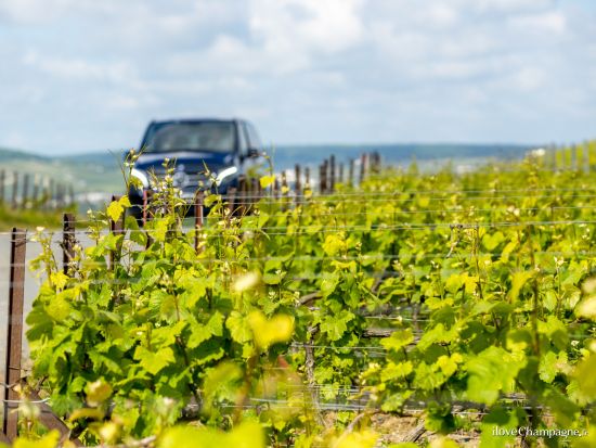 シャンパーニュ地方　シャンパンの歴史とテロワールを学ぶ！家族経営のワイナリー2軒見学＆試飲＋オーヴィレール村＜午後／ランス発／英語ガイド＞