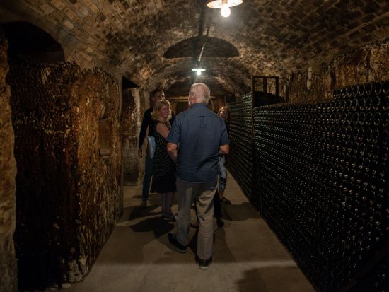 シャンパーニュ地方　シャンパンの歴史とテロワールを学ぶ！家族経営のワイナリー2軒見学＆試飲＋オーヴィレール村＜午後／ランス発／英語ガイド＞