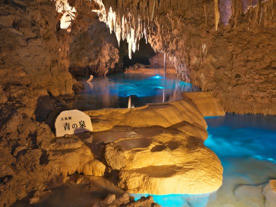 バスガイドと行く♪おきなわワールドと戦跡を巡るバスツアー  たっぷり時間を使って沖縄の歴史や風景に触れる沖縄南部旅＜1日／昼食込／那覇発＞