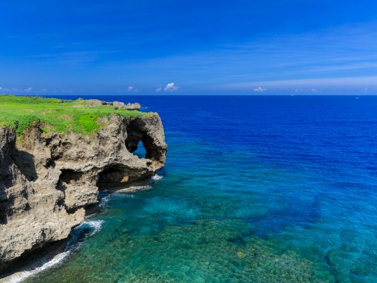 海洋博公園（沖縄美ら海水族館）と今帰仁城跡を巡るバスガイドと行く♪バスツアー 絶景と世界遺産 世界最大級の水槽を誇る水族館で沖縄旅を満喫＜1日／昼食込／那覇発＞