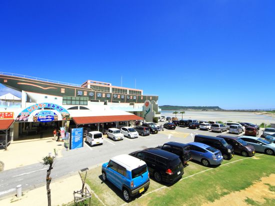 中部めぐりバスツアー 東南植物楽園＋勝連城跡＋海中道路 有名スポットでめぐりで旅を満喫＜1日／那覇発＞