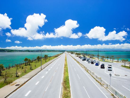 中部めぐりバスツアー 東南植物楽園＋勝連城跡＋海中道路 有名スポットでめぐりで旅を満喫＜1日／那覇発＞